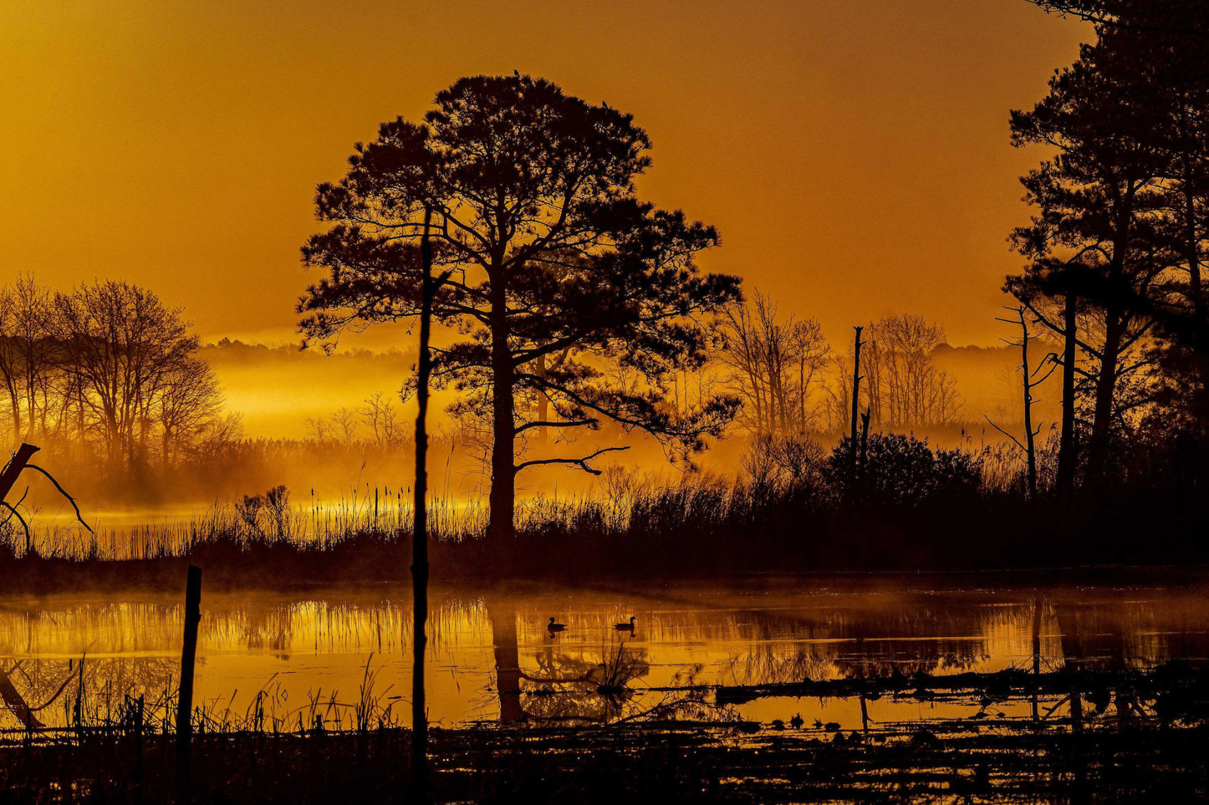 Blackwater photo takes first place in fall category